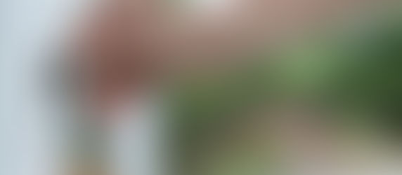 Civitas Solutions Model in South Australia