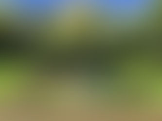 Connecting With Our Aina