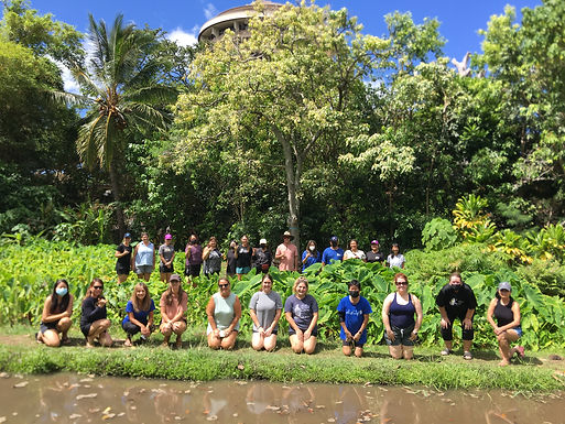 Connecting With Our Aina