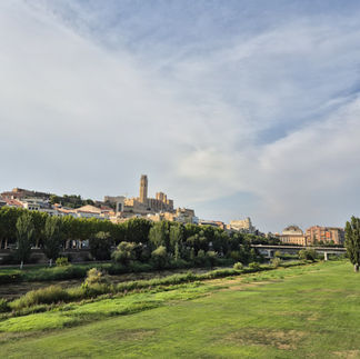 A stretch of grass next to a river in Lleida, Spain