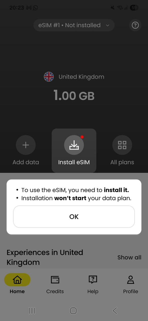 Installation screen on the Saily eSIM app