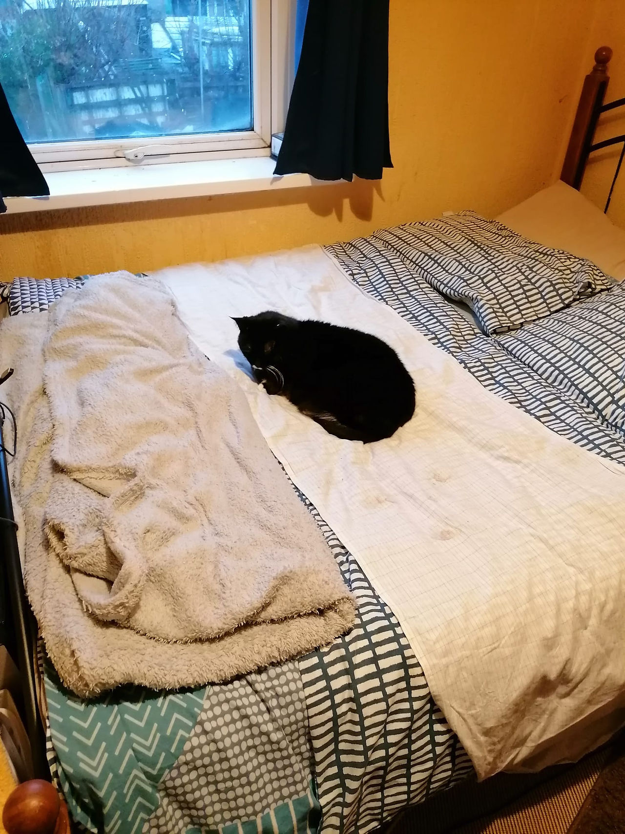 A cat lies on a grounding sheet