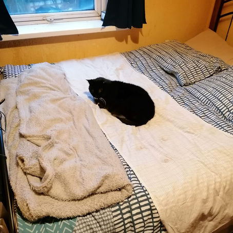 A cat laying on a grounding bedsheet