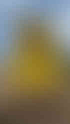 The equator sign at Nanyuki, Kenya