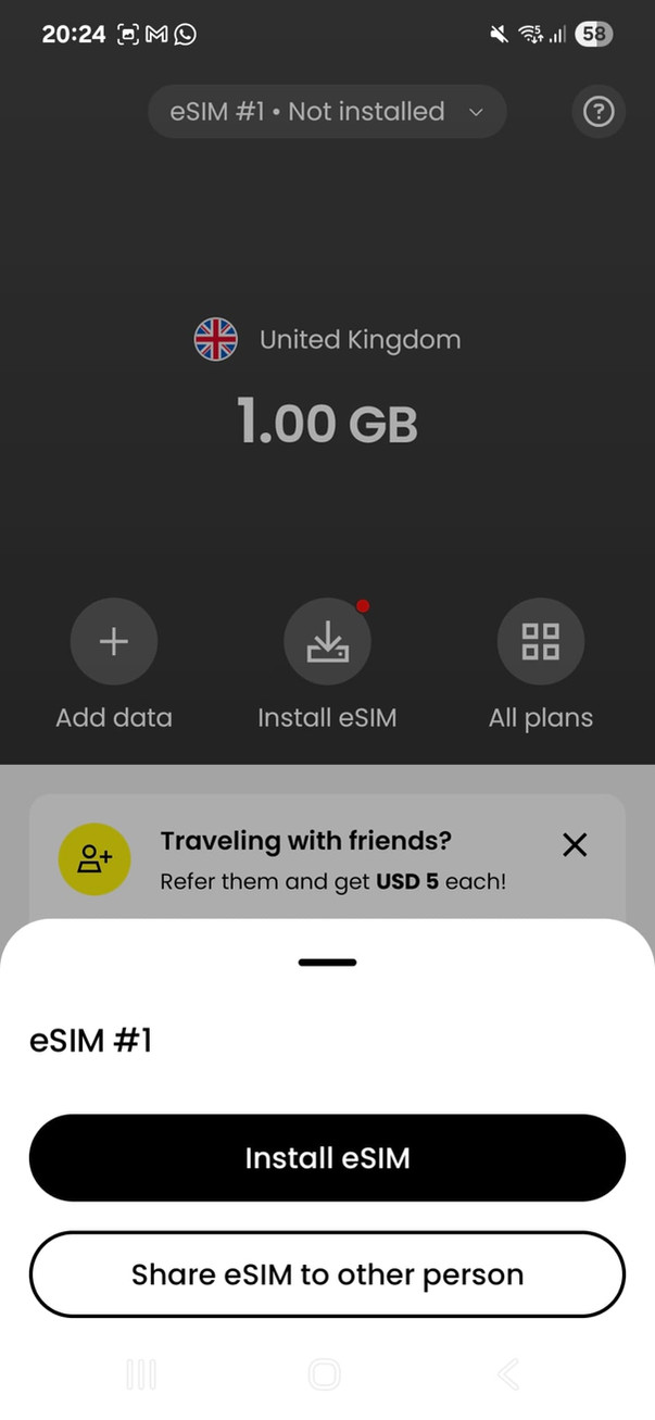 Installation button on the Saily eSIM app