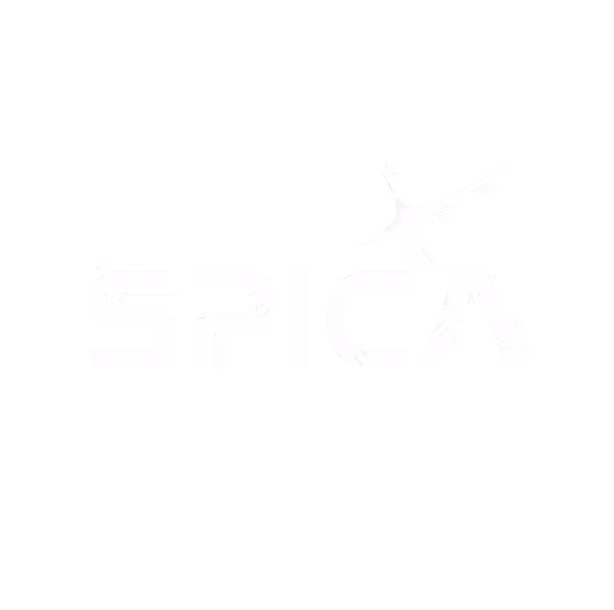SPICALOGO-03.avif