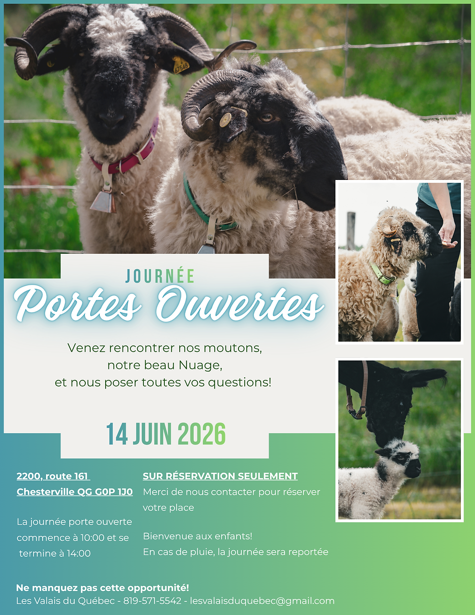 🐑JOURNÉE PORTES OUVERTES🐑