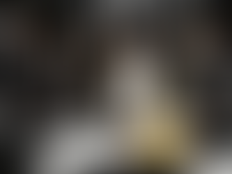 Interview with Soul de Vienne