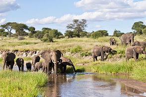 Tarangire_National_Park_Buskkey_Tours_04.jpg
