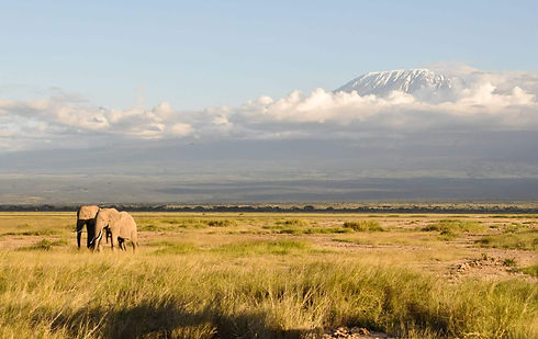 Mt.Kilimanjaro_Tanzania_Bushkey_Tours_15.jpg