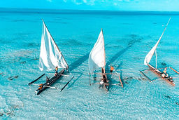 Zanzibar_Bushkey_Tours_01.jpg