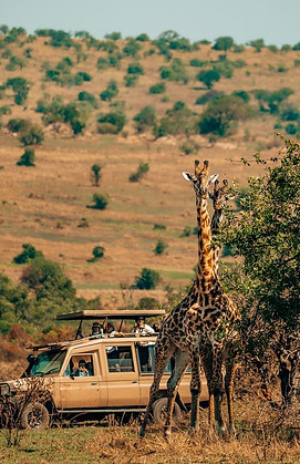Serengeti_National_Park_Bushkey_Tours_ed