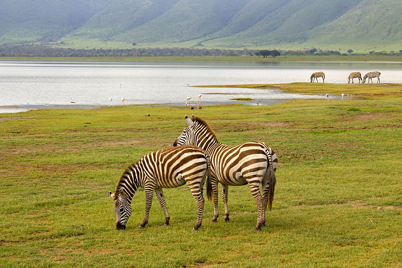 Ngorongoro_Conservation_Area_Bushkey_Tours_3.jpg