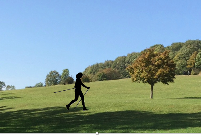 NORDIC WALKING