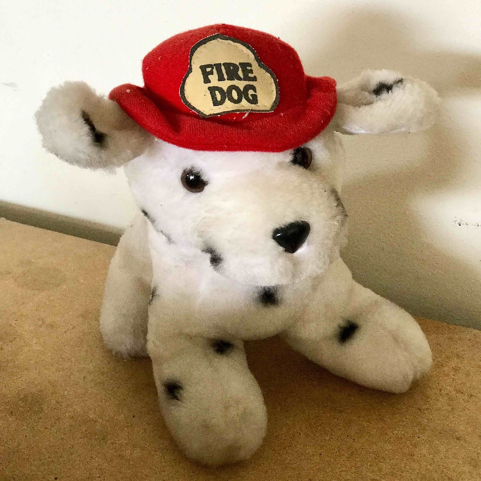 Toy Dalmatian in a red "Fire Dog" hat on a wooden surface. The dog is white with black spots, creating a playful and cute mood.