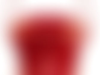 Ringing the Salvation Army bell in fire gear helps