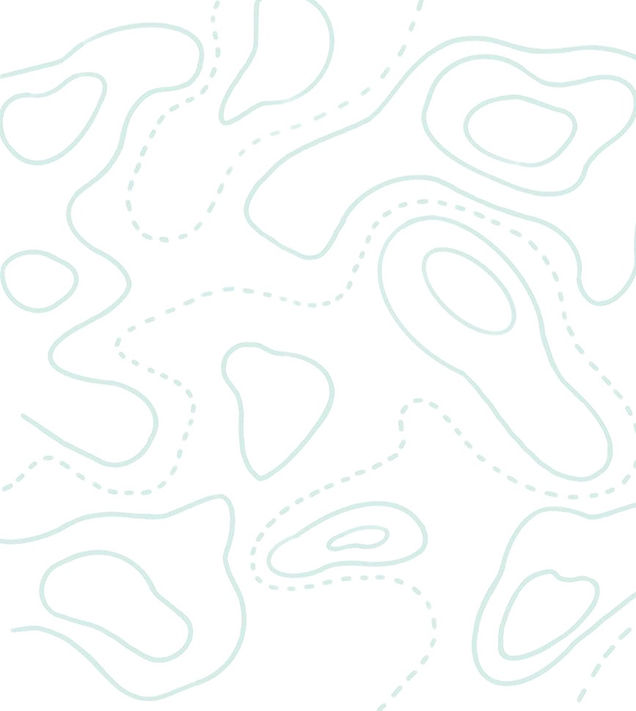 blue contours background_edited_edited.jpg