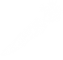 food 6.png