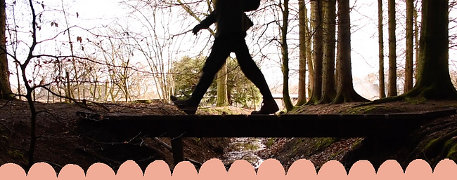 sillhouette of person walking in woods