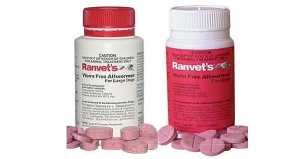 Ranvet - Dog Allwormer
