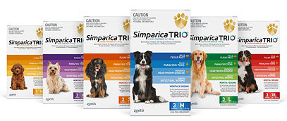Simparica TRIO Dog Chew
