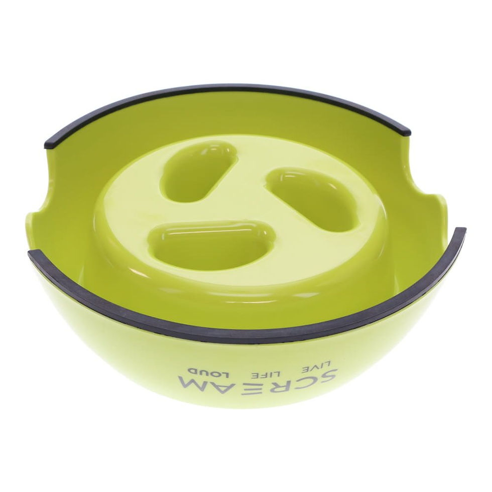 Thumbnail: Bowl Melamine Slow down Feeder Scream