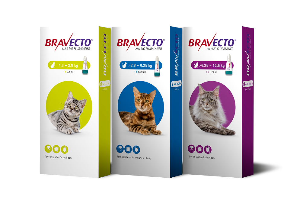 Bravecto Cat Spot-on
