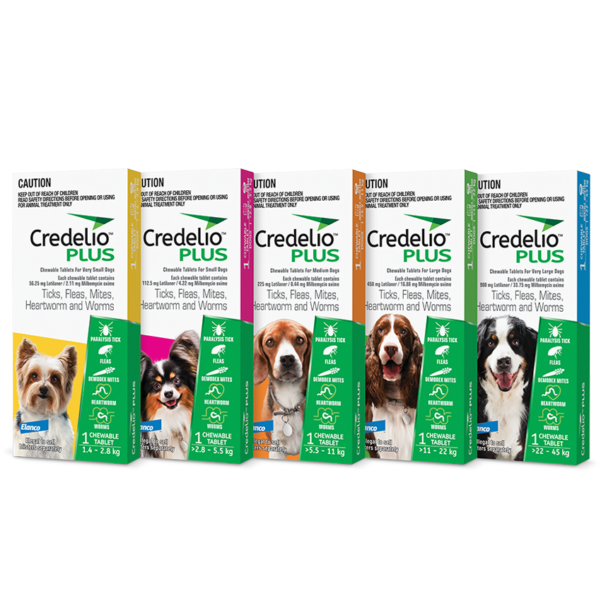 Credelio plus Chewable Monthly Tablet