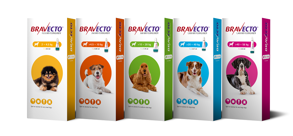 Bravecto Dog Spot-On 1pk