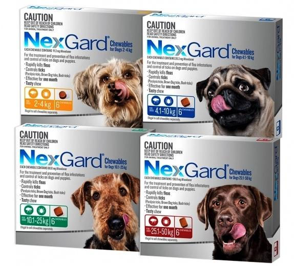 Nexgard Dog Chew