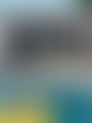 RECAP | MAY 25- JUNE 1