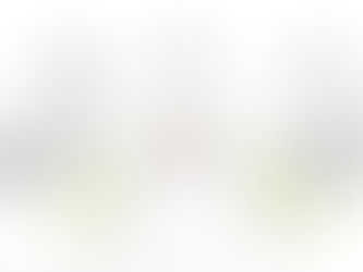 FOUR THINGS TO LOOK FOR IN YOUR NEXT CSO TO ENSURE YOUR ORGANISATION IS THRIVING IN 2024 AND BEYOND