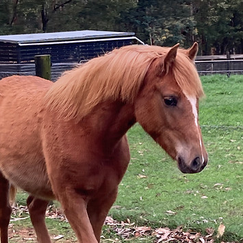 Harper September 2024.JPG