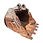 Miniatura: Concha Volvo Ec250dl