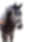 F43525E7-66B8-4CA3-8EC2-D4BC9CA12170_edited.png