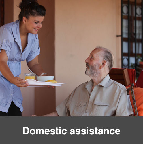 Domestic Assistance