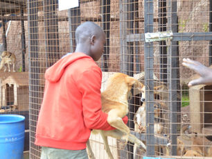 10 ans de combat, 10 ans d’amour, l’histoire du refuge Havre de Paix en RDC