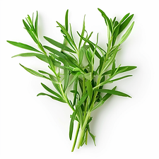 teshifer_Tarragon_herb_isolated_on_a_white_background_with_cl_5ca22917-6e4f-4f6d-8cb9-2348