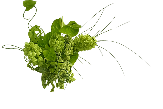 ChatGPT Image Sep 13, 2025, 12_35_22 PM.png