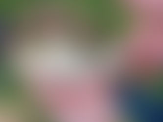 Einladung zum zweiten Hegefischen 2025 am Müllersteich