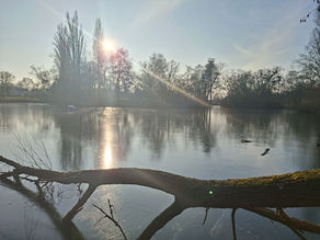 Arbeitseinsatz am 21.03.2026 entfällt!