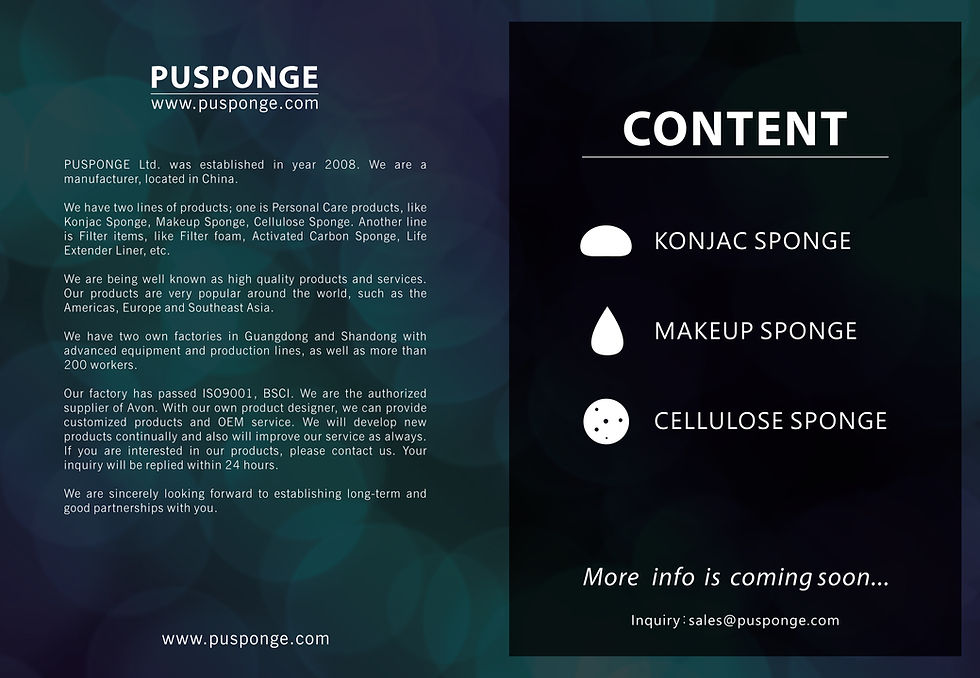 PUSPONGE makeup sponge supplier product catalog cover