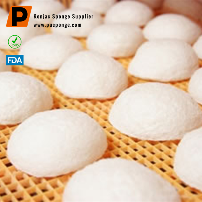 Konjac Drying process