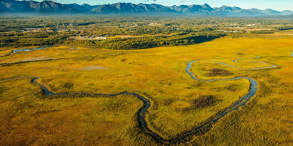 The Importance of Wetlands: Mitigation, Banking, and Responsible Development