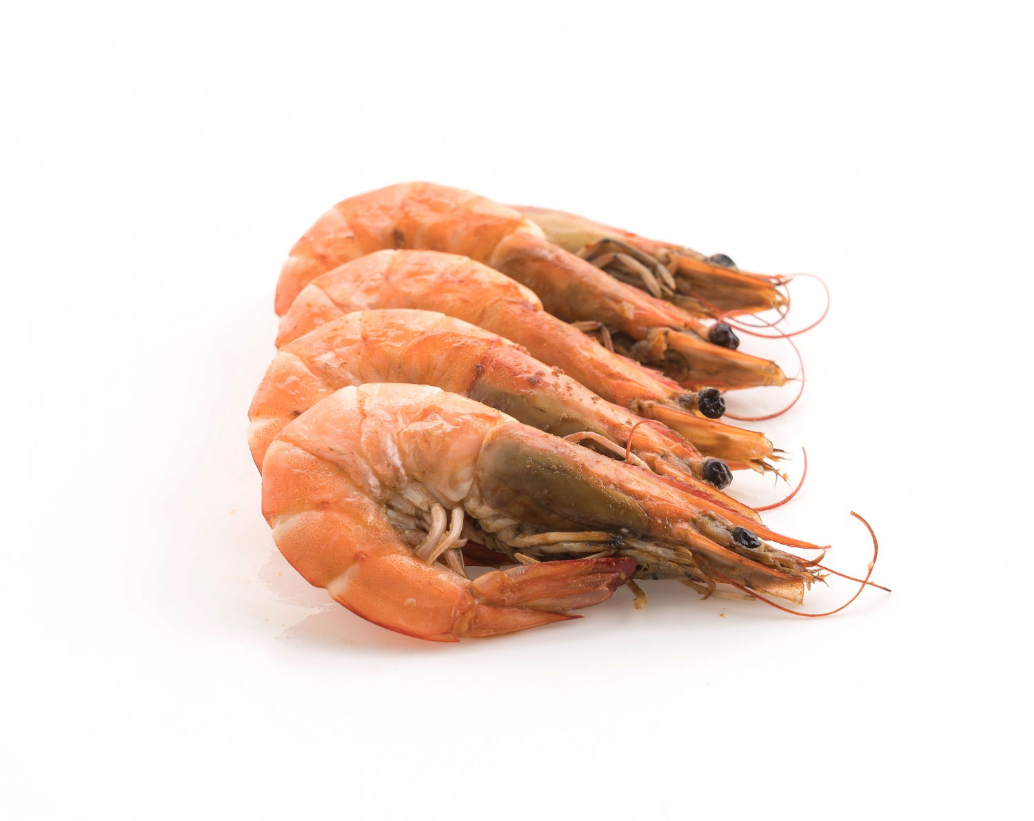 Prawns