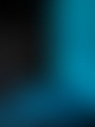 CANCION - PRIVATE COLLECTION