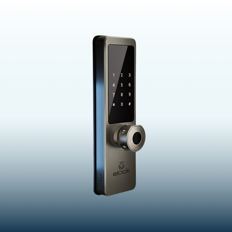 מחסומי חניה (4).png