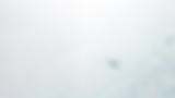 14014.png