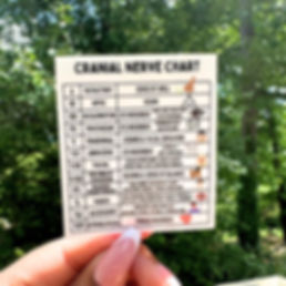 Cranial Nerve Chart Sticker
