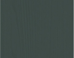 A sand dune in a desert with a beige sky